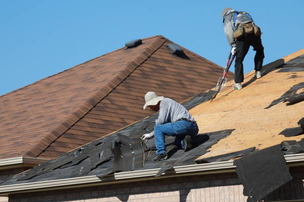 Best Storm Damage Roof Repair  in De Soto, IL